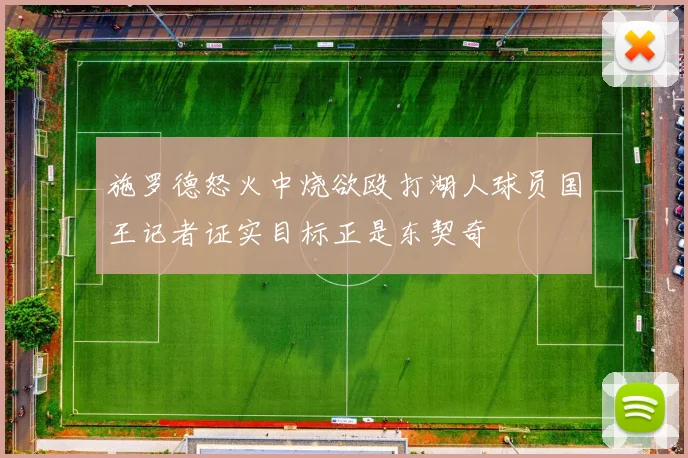 施罗德怒火中烧欲殴打湖人球员国王记者证实目标正是东契奇