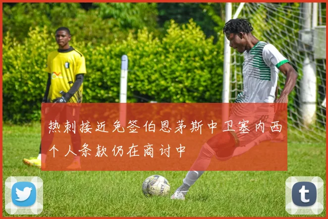 热刺接近免签伯恩茅斯中卫塞内西个人条款仍在商讨中