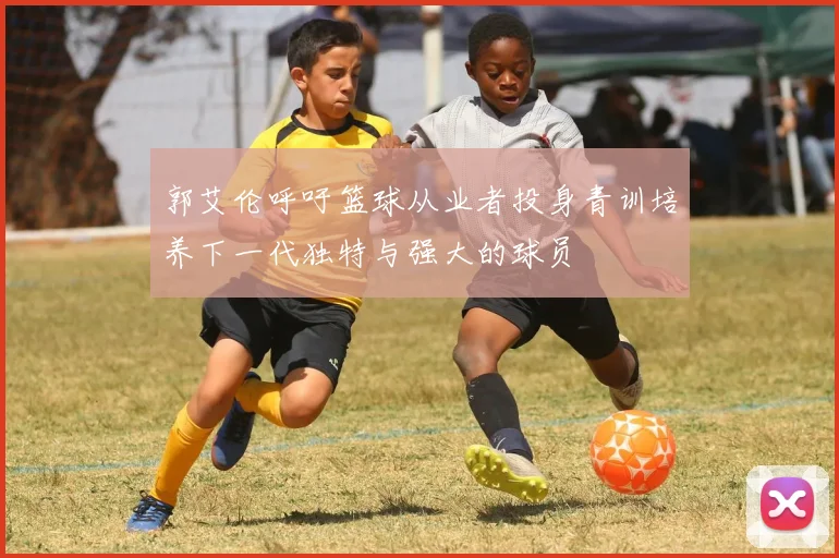 郭艾伦呼吁篮球从业者投身青训培养下一代独特与强大的球员
