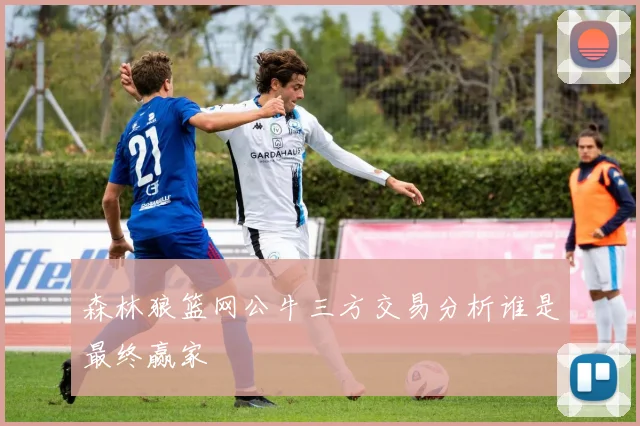 森林狼篮网公牛三方交易分析谁是最终赢家